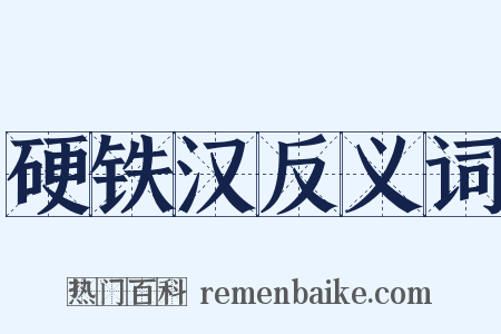 硬铁汉反义词是什么意思的图片